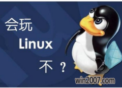 Ҷϵͳװlinux,Сܽlinuxʲô